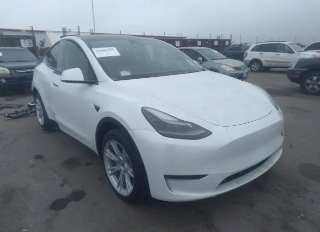 TESLA MODEL Y 2023 7saygdee5pf608086