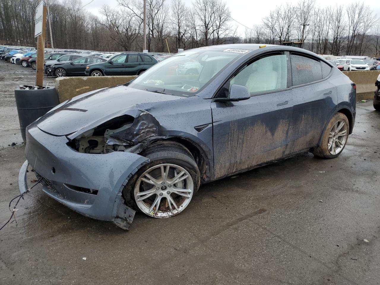 TESLA MODEL Y 2023 7saygdee5pf636602