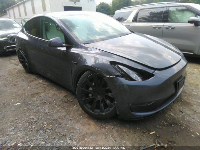 TESLA MODEL Y 2023 7saygdee5pf637572