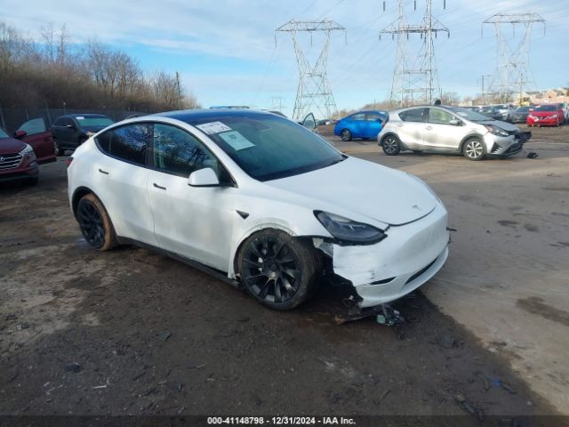 TESLA MODEL Y 2023 7saygdee5pf669907