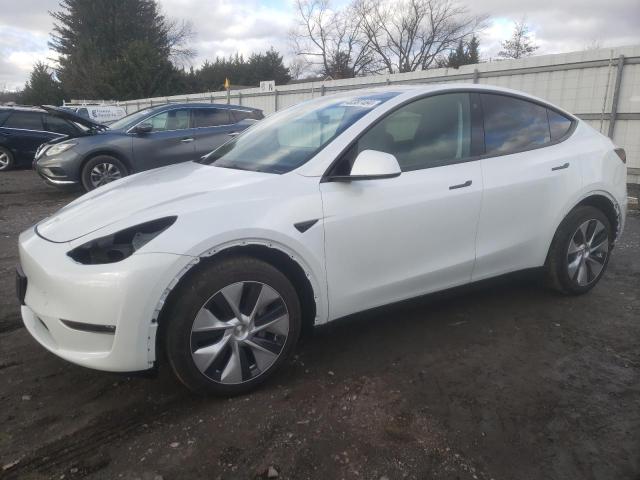 TESLA MODEL Y 2023 7saygdee5pf685220