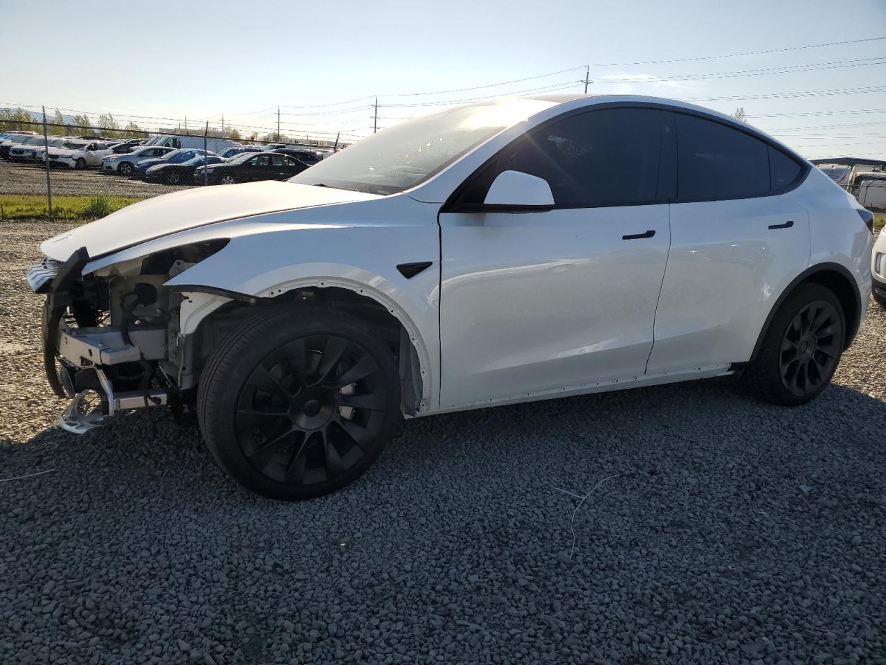 TESLA MODEL Y 2023 7saygdee5pf751944