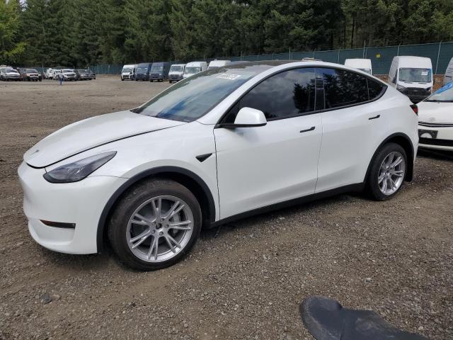 TESLA MODEL Y 2023 7saygdee5pf770297