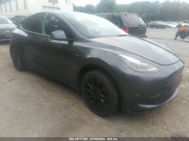 TESLA MODEL Y 2023 7saygdee5pf889614