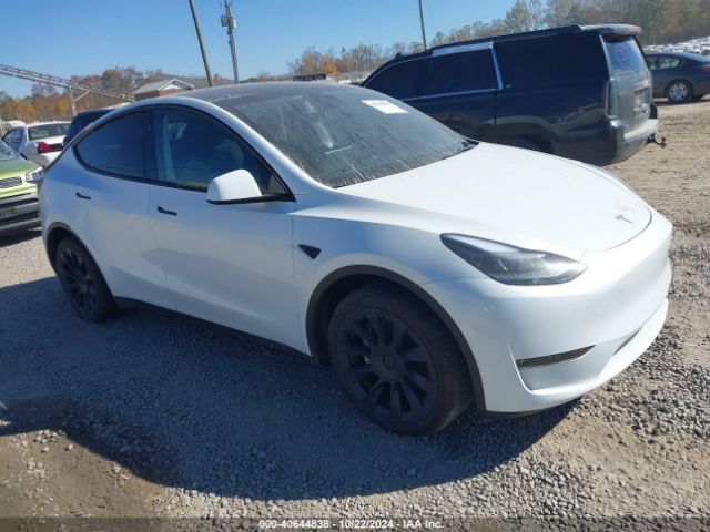 TESLA MODEL Y 2024 7saygdee5ra242839