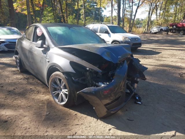 TESLA MODEL Y 2024 7saygdee5ra245983