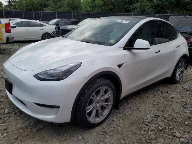 TESLA MODEL Y 2024 7saygdee5ra246731