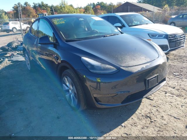 TESLA MODEL Y 2024 7saygdee5ra247944