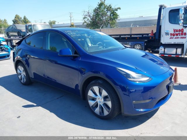 TESLA MODEL Y 2024 7saygdee5rf002368