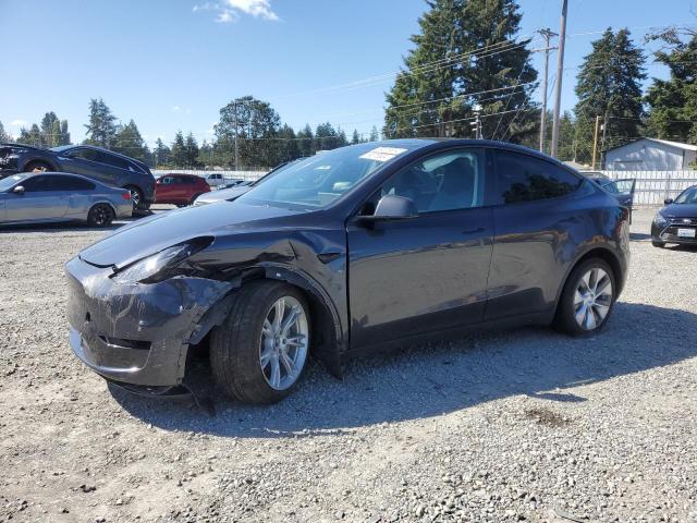 TESLA MODEL Y 2024 7saygdee5rf071206