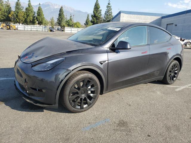 TESLA MODEL Y 2024 7saygdee5rf082416