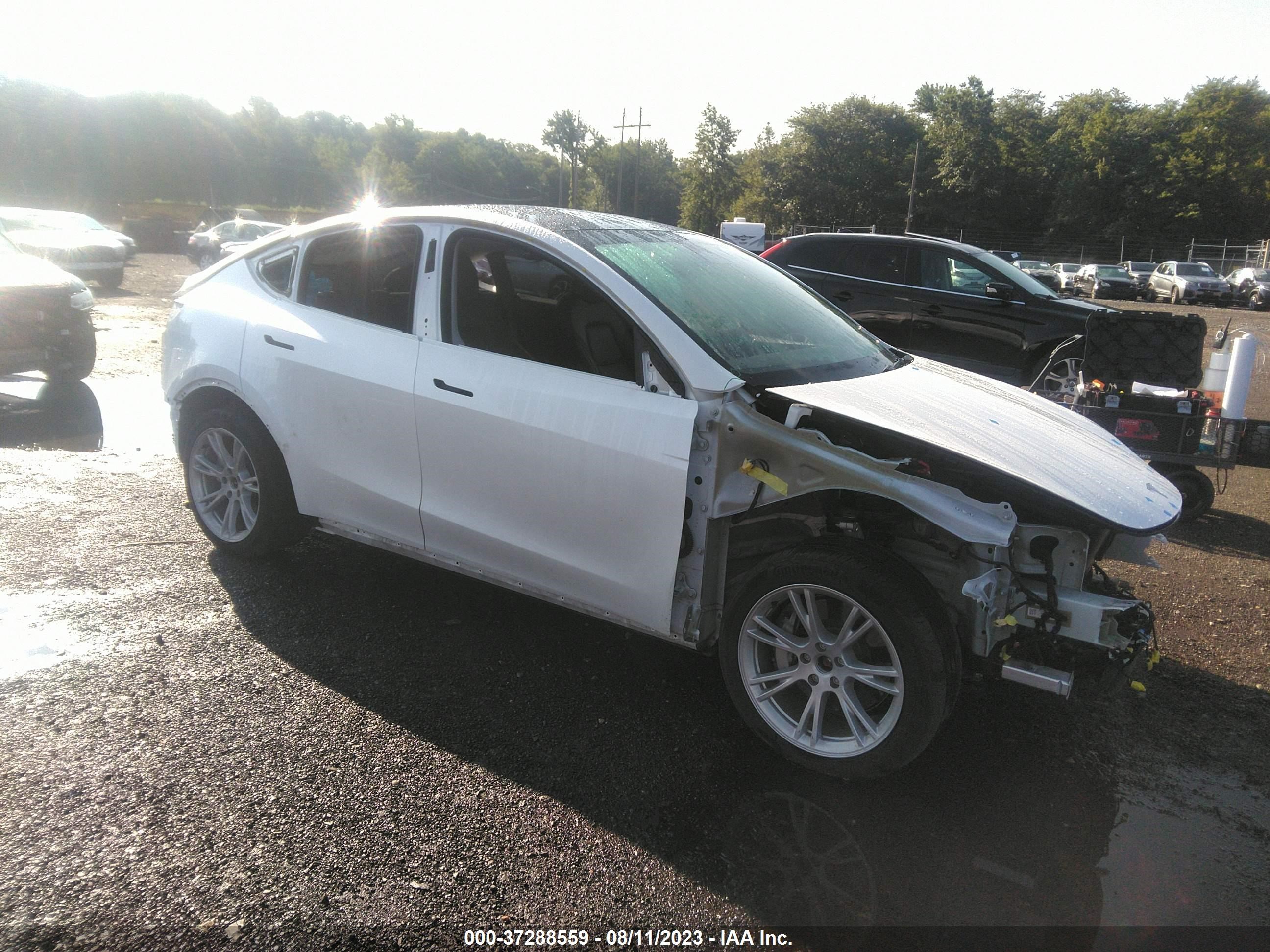 TESLA MODEL Y 2022 7saygdee6na009532