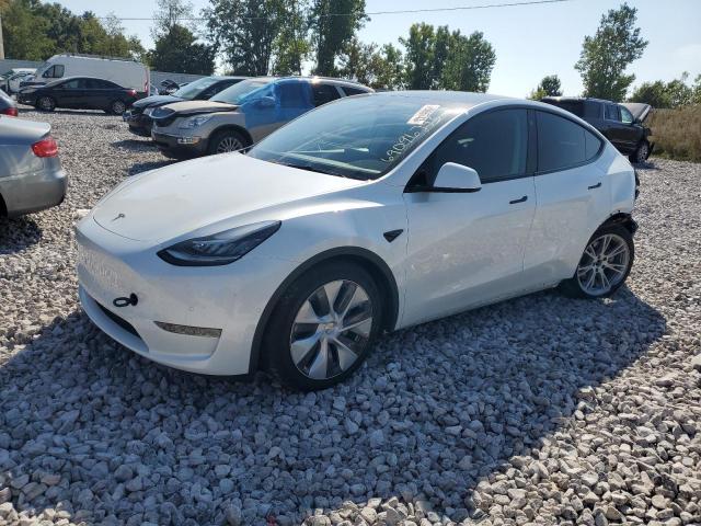 TESLA MODEL Y 2022 7saygdee6na011913