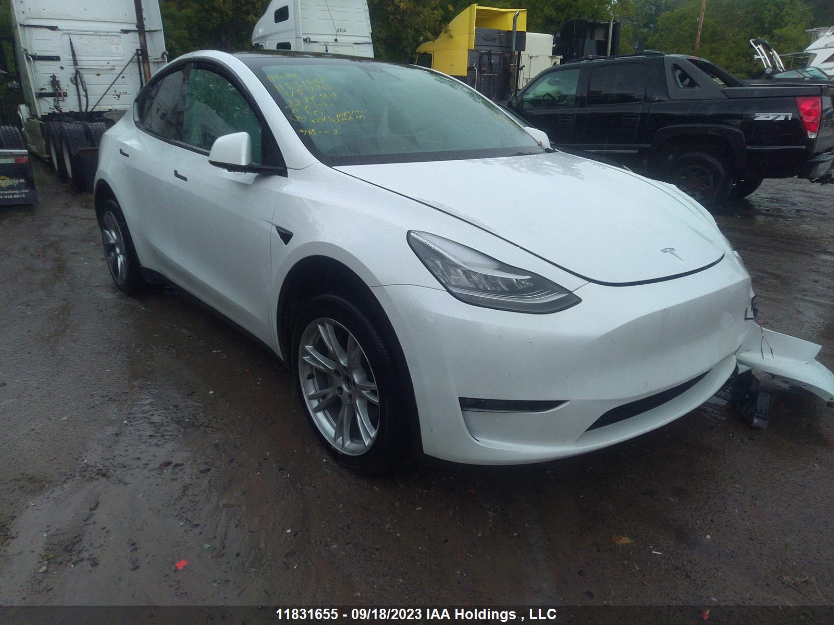 TESLA MODEL Y 2022 7saygdee6nf315990