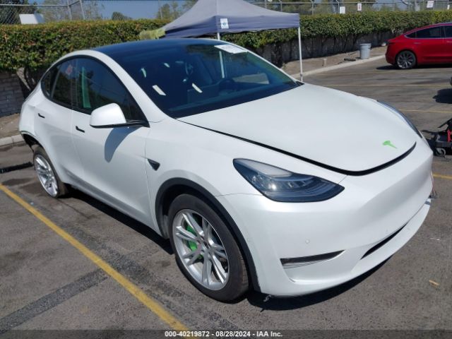 TESLA MODEL Y 2022 7saygdee6nf362890