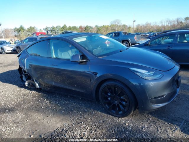 TESLA MODEL Y 2022 7saygdee6nf379981