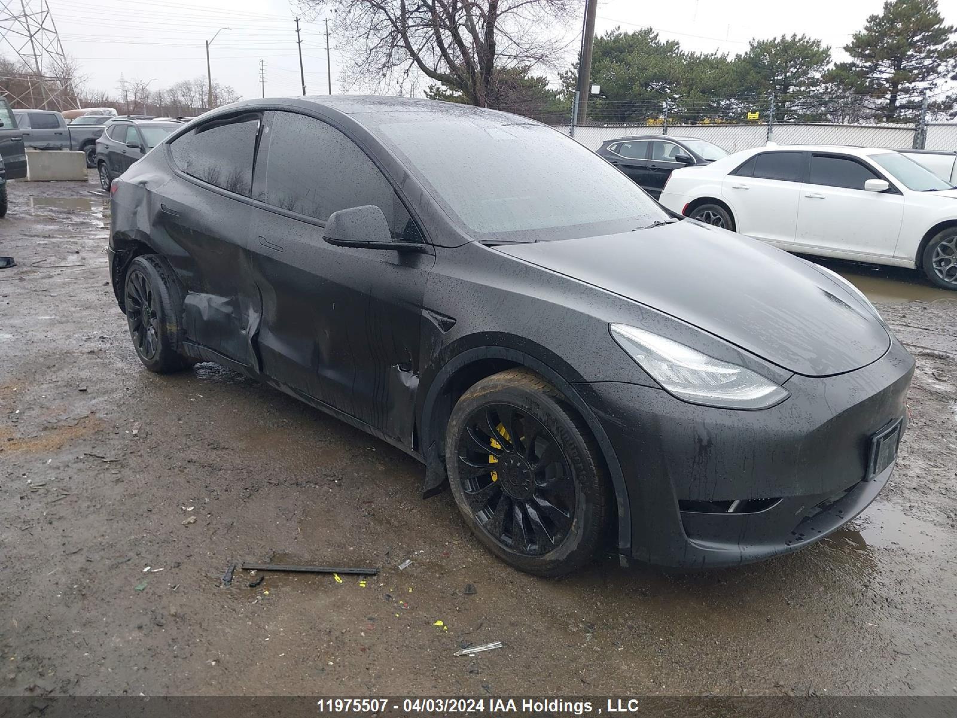 TESLA MODEL Y 2022 7saygdee6nf400165