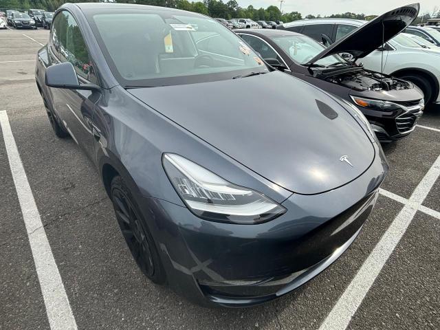 TESLA MODEL Y 2022 7saygdee6nf481572