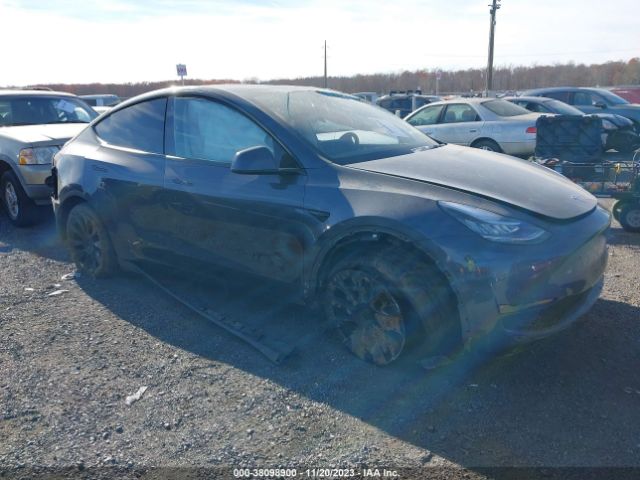 TESLA MODEL Y 2023 7saygdee6pa118737