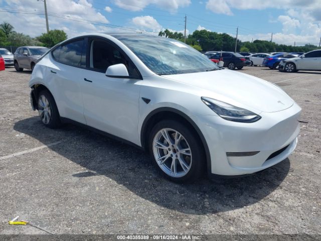 TESLA MODEL Y 2023 7saygdee6pa128653