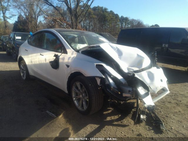 TESLA MODEL Y 2023 7saygdee6pa182311