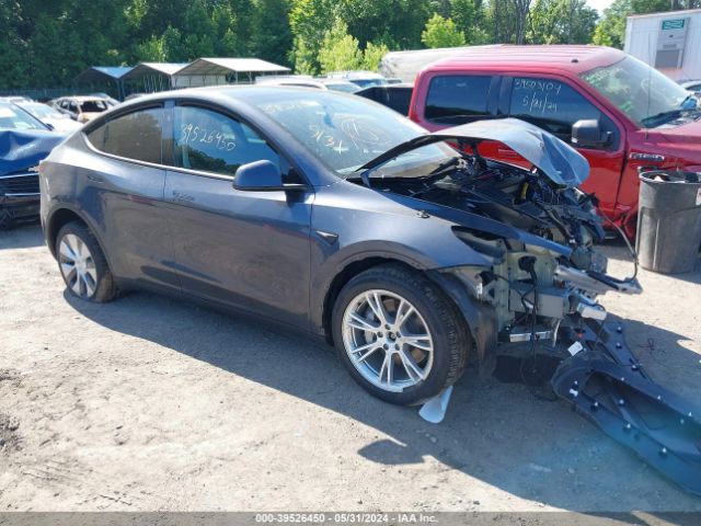 TESLA MODEL Y 2023 7saygdee6pa208129