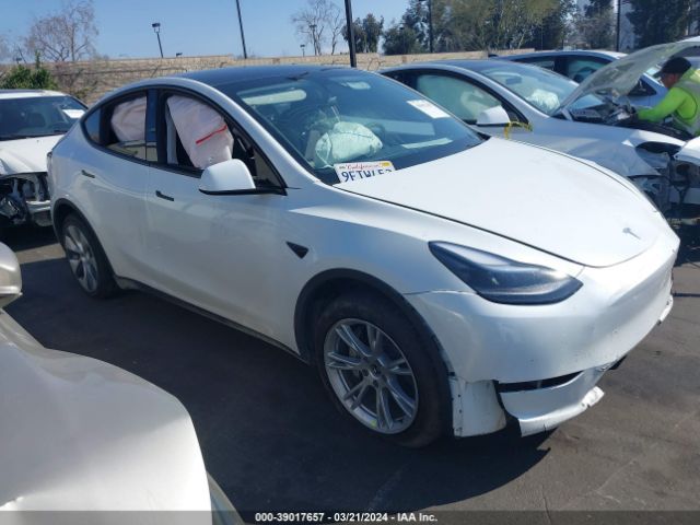 TESLA MODEL Y 2022 7saygdee6pf628914