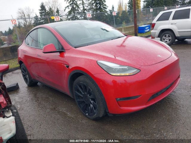 TESLA MODEL Y 2023 7saygdee6pf648872