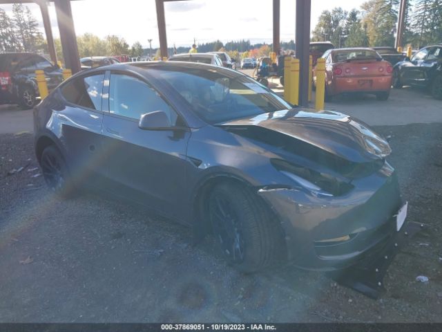 TESLA MODEL Y 2023 7saygdee6pf651531