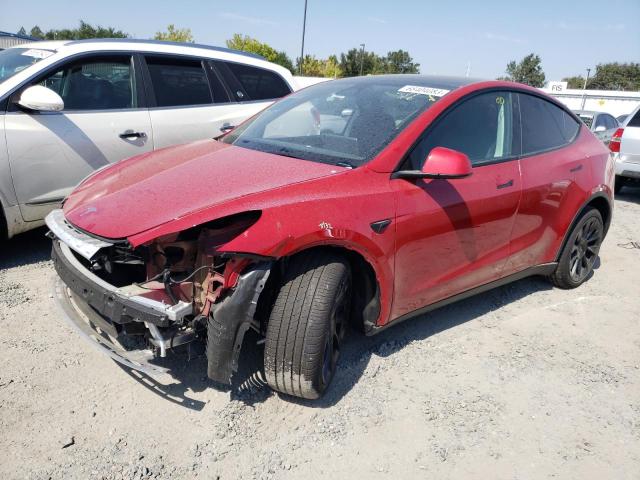 TESLA MODEL Y 2023 7saygdee6pf696565