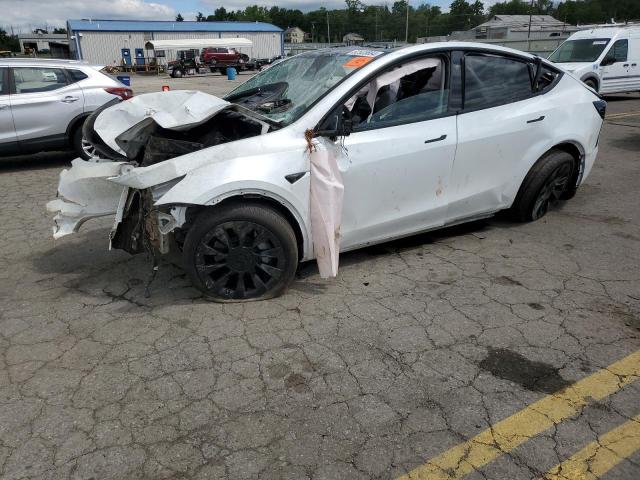 TESLA MODEL Y 2024 7saygdee6ra230263