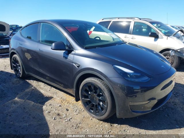 TESLA MODEL Y 2024 7saygdee6ra269709