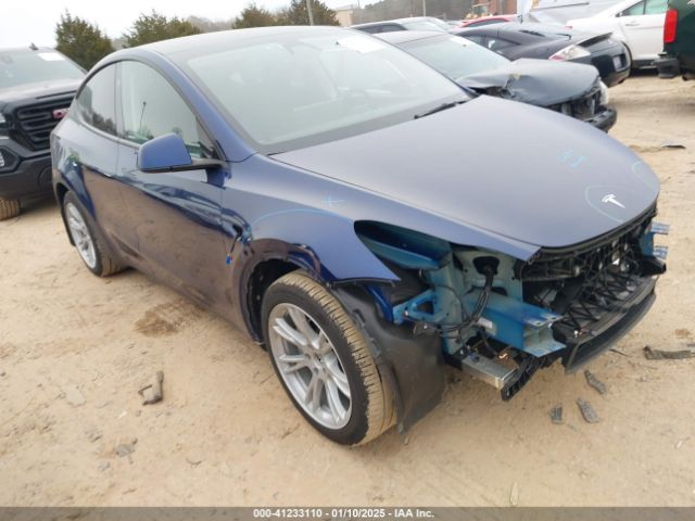 TESLA MODEL Y 2024 7saygdee6ra282945