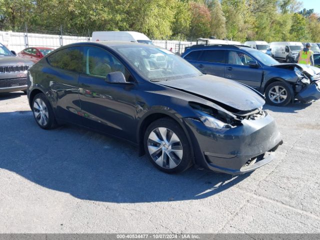 TESLA MODEL Y 2024 7saygdee6rf088130