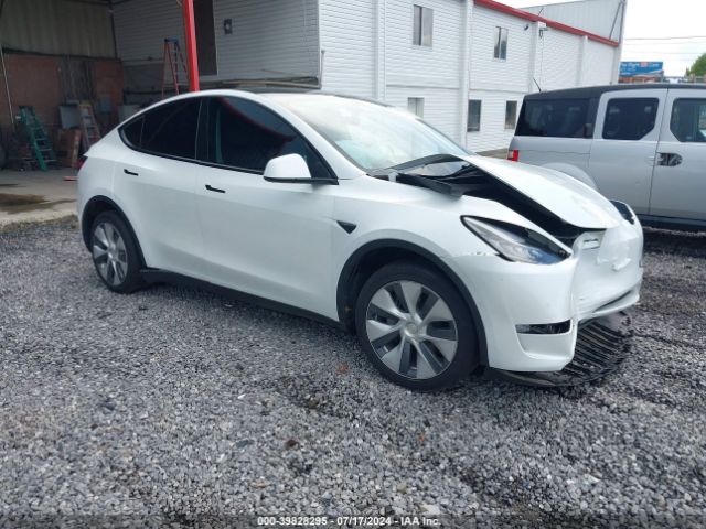 TESLA MODEL Y 2022 7saygdee7na012228