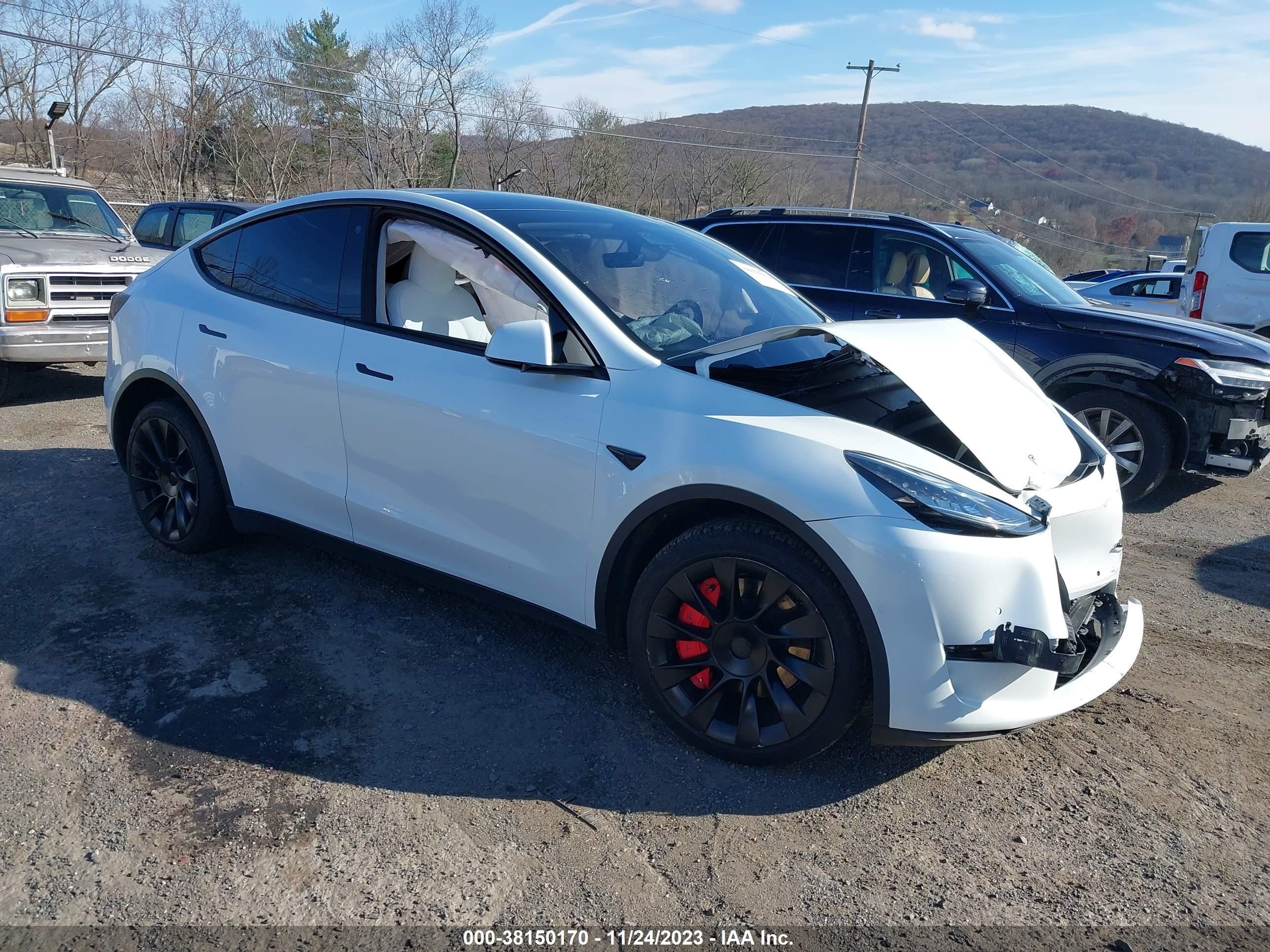 TESLA MODEL Y 2022 7saygdee7nf339537