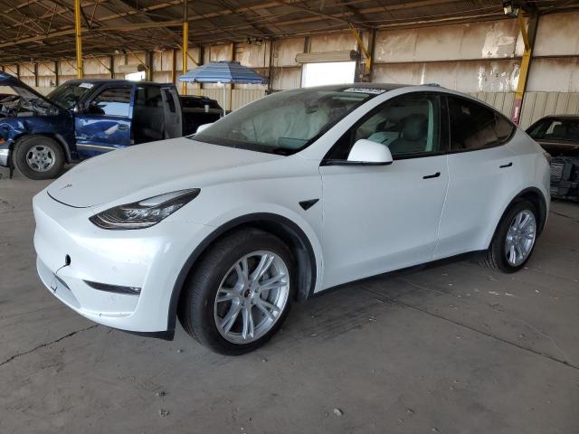 TESLA MODEL Y 2022 7saygdee7nf356872