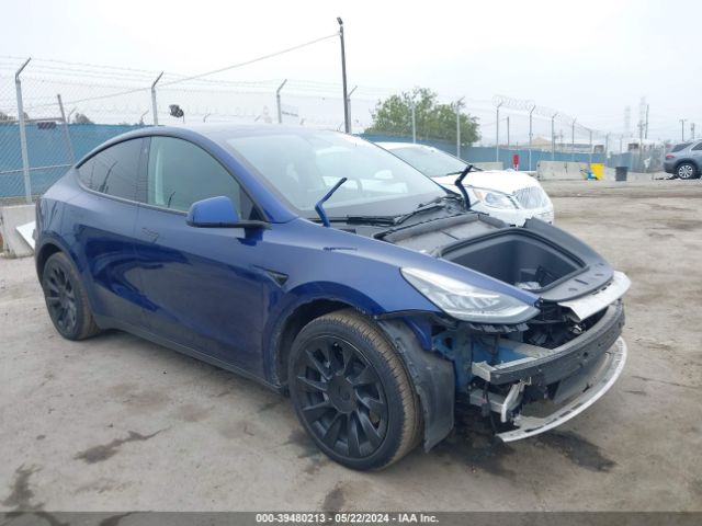 TESLA MODEL Y 2022 7saygdee7nf402930