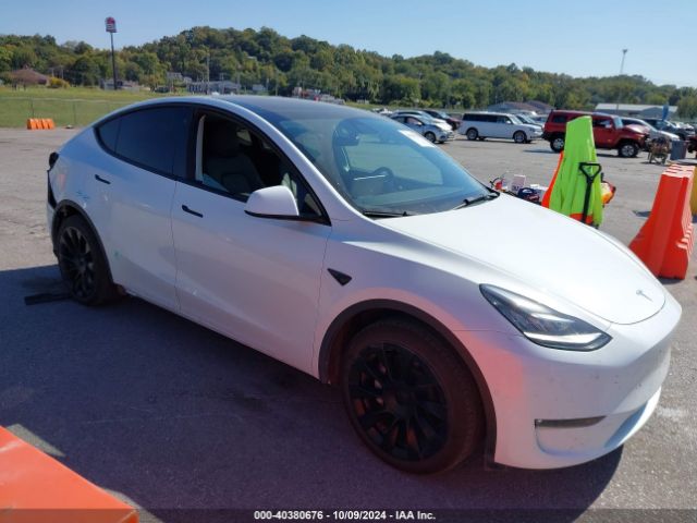 TESLA MODEL Y 2022 7saygdee7nf413880