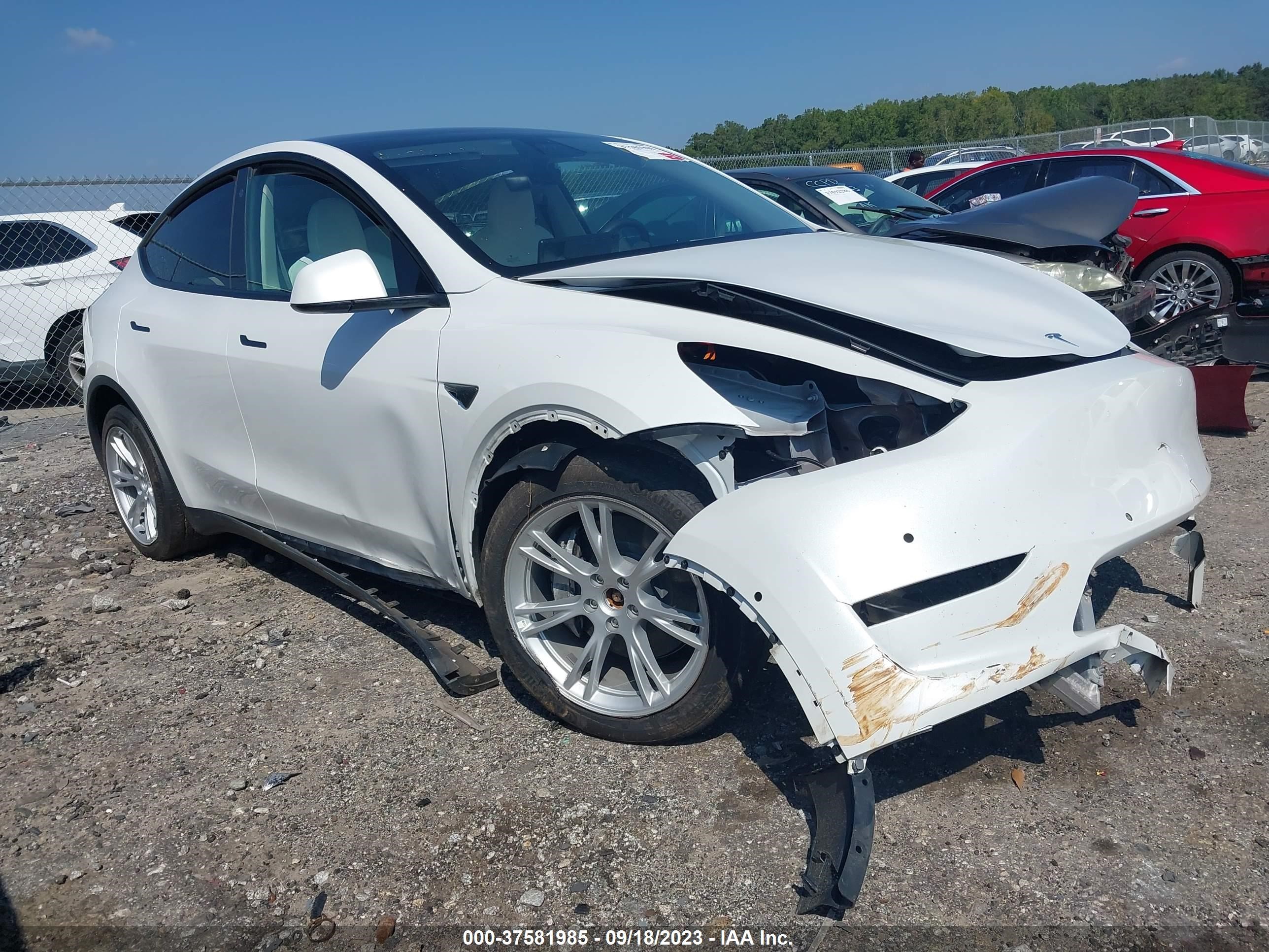 TESLA MODEL Y 2022 7saygdee7nf418562