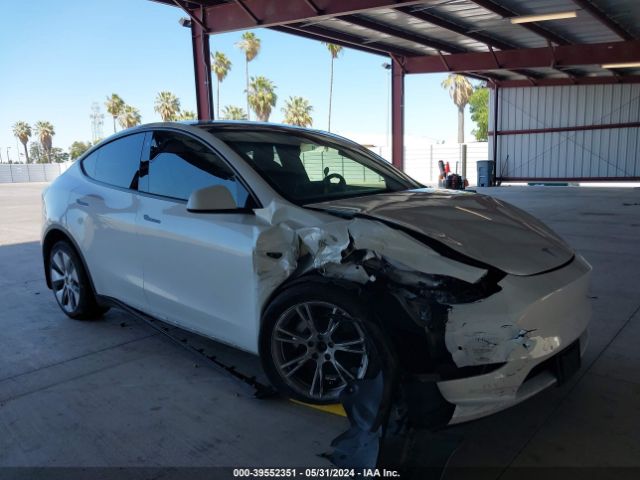 TESLA MODEL Y 2022 7saygdee7nf542637