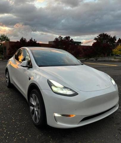 TESLA MODEL Y 2022 7saygdee7nf544954