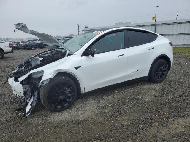 TESLA MODEL Y 2022 7saygdee7nf553752