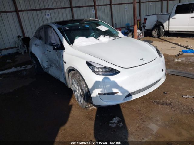 TESLA MODEL Y 2023 7saygdee7pa064395