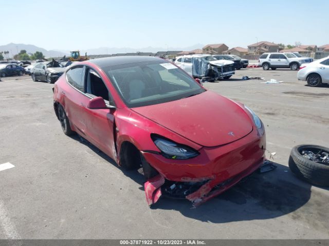 TESLA MODEL Y 2023 7saygdee7pa108136