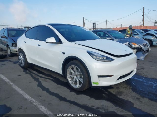 TESLA MODEL Y 2023 7saygdee7pa123039