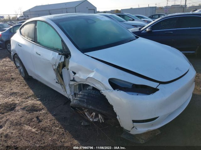 TESLA MODEL Y 2023 7saygdee7pa142206