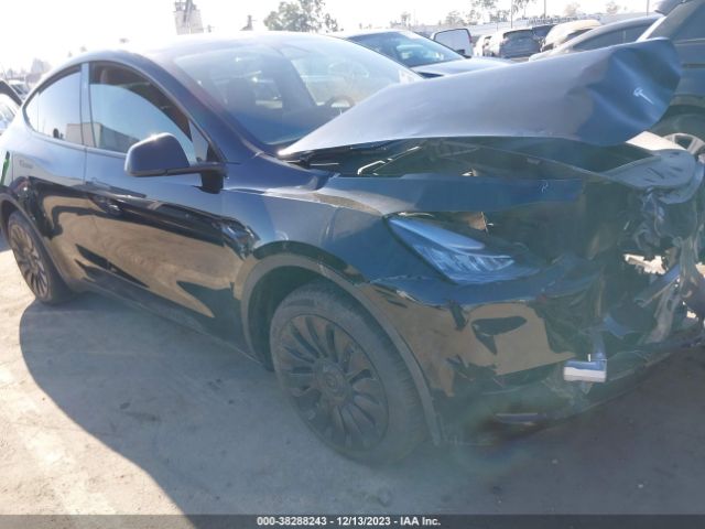 TESLA MODEL Y 2023 7saygdee7pa143727