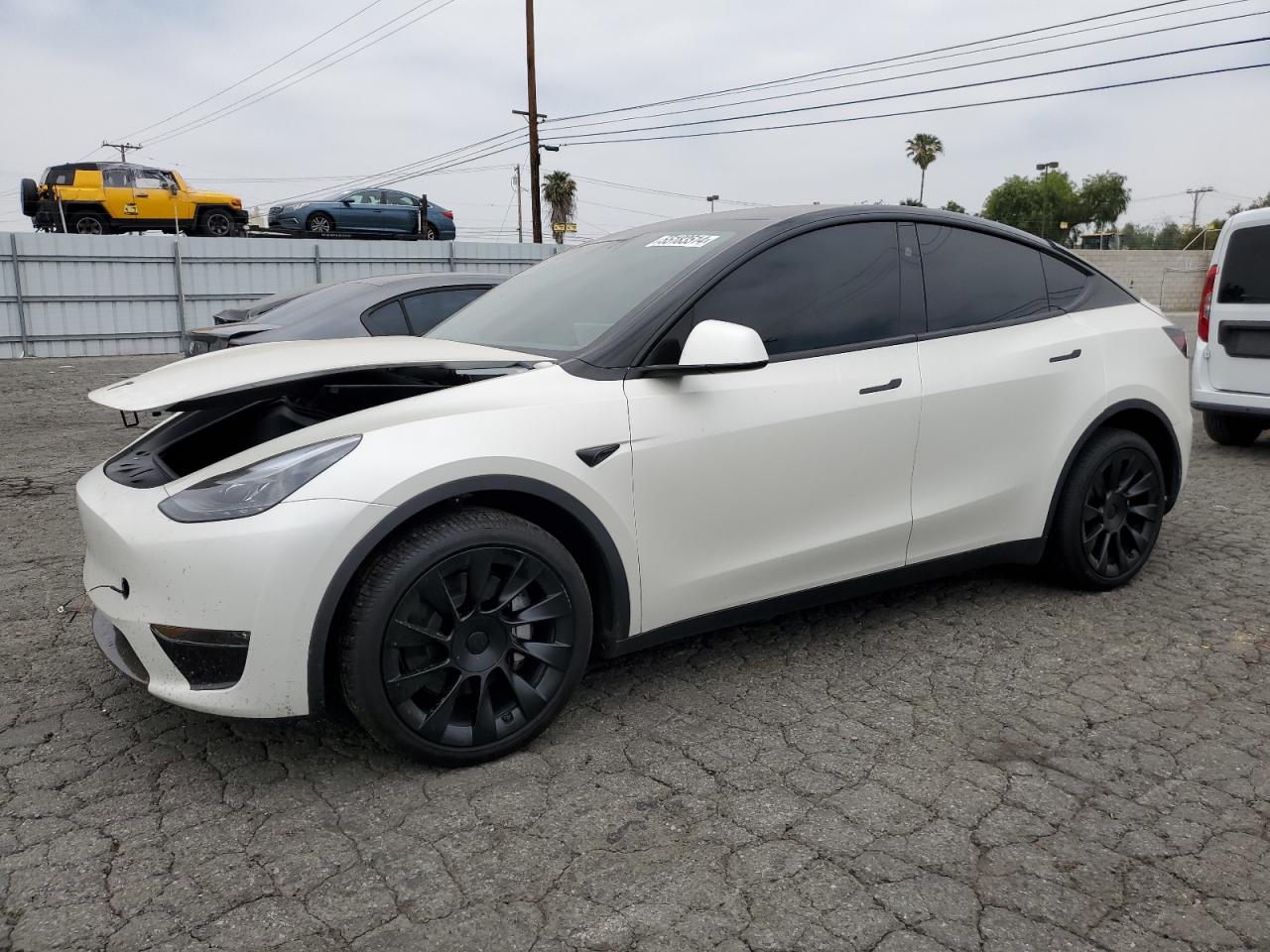 TESLA MODEL Y 2023 7saygdee7pa178798