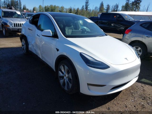 TESLA MODEL Y 2023 7saygdee7pf755302